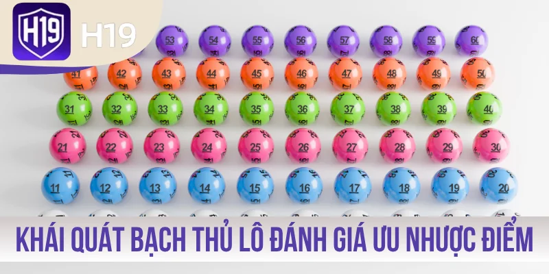 Khái quát về bạch thủ lô và đánh giá ưu nhược điểm
